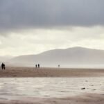 Goa Travel Guide: Best Time to Visit Goa Travel Guide - palm-lined beach in Goa, India